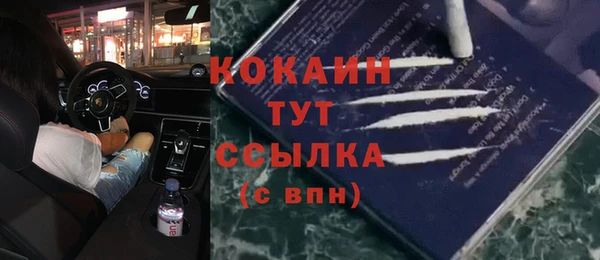 дживик Алексин