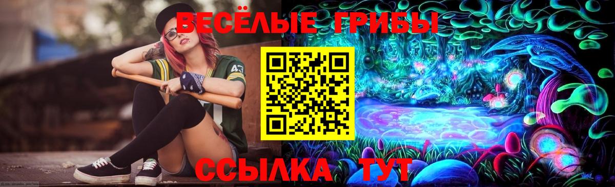 Дзержинский  Псилоцибиновые грибы GOLDEN TEACHER  Галлюциногенные грибы Magic Shrooms  Вход с VPN 
